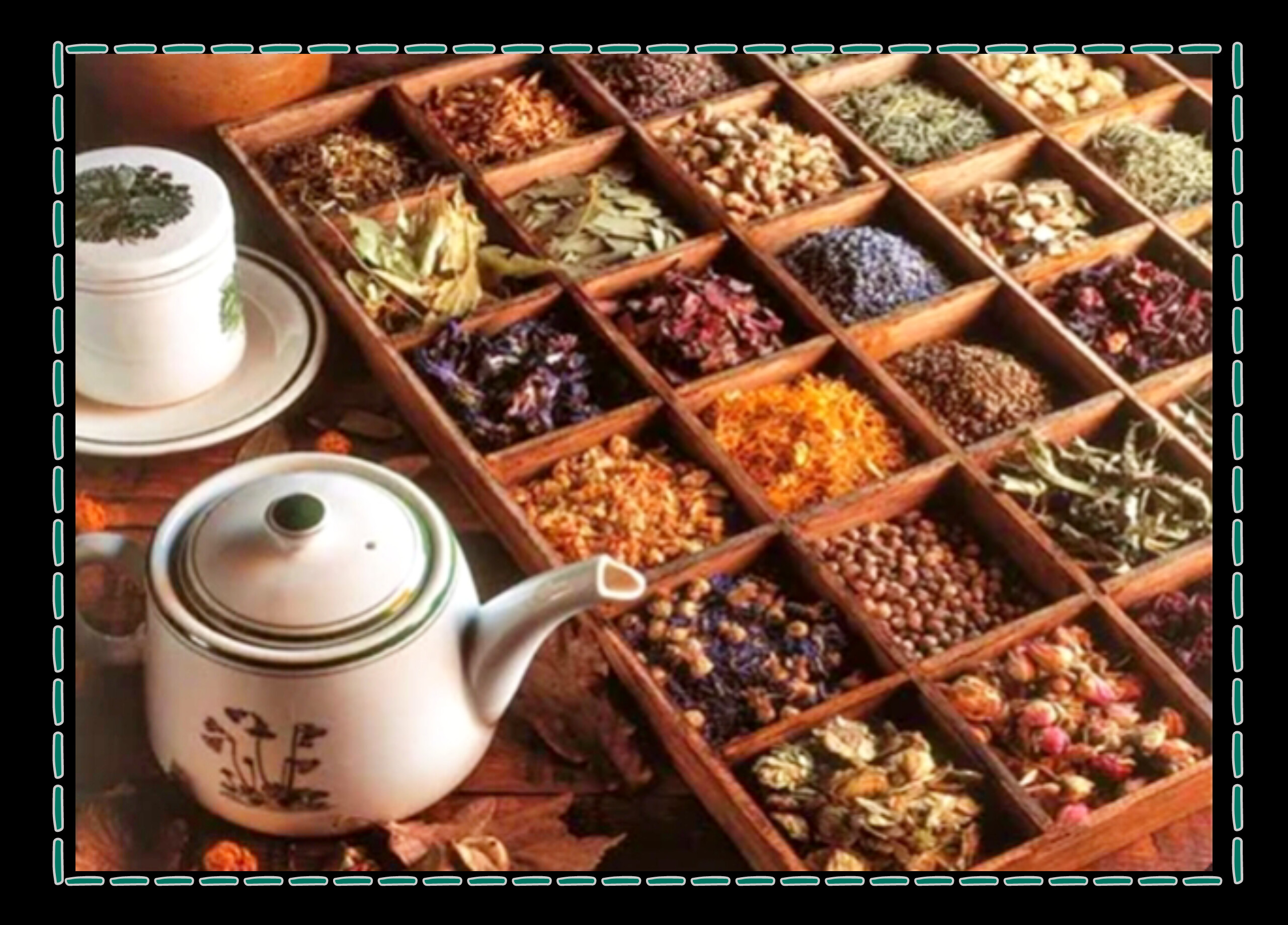 آشنایی با دمنوش های گیاهی و فواید آن ها