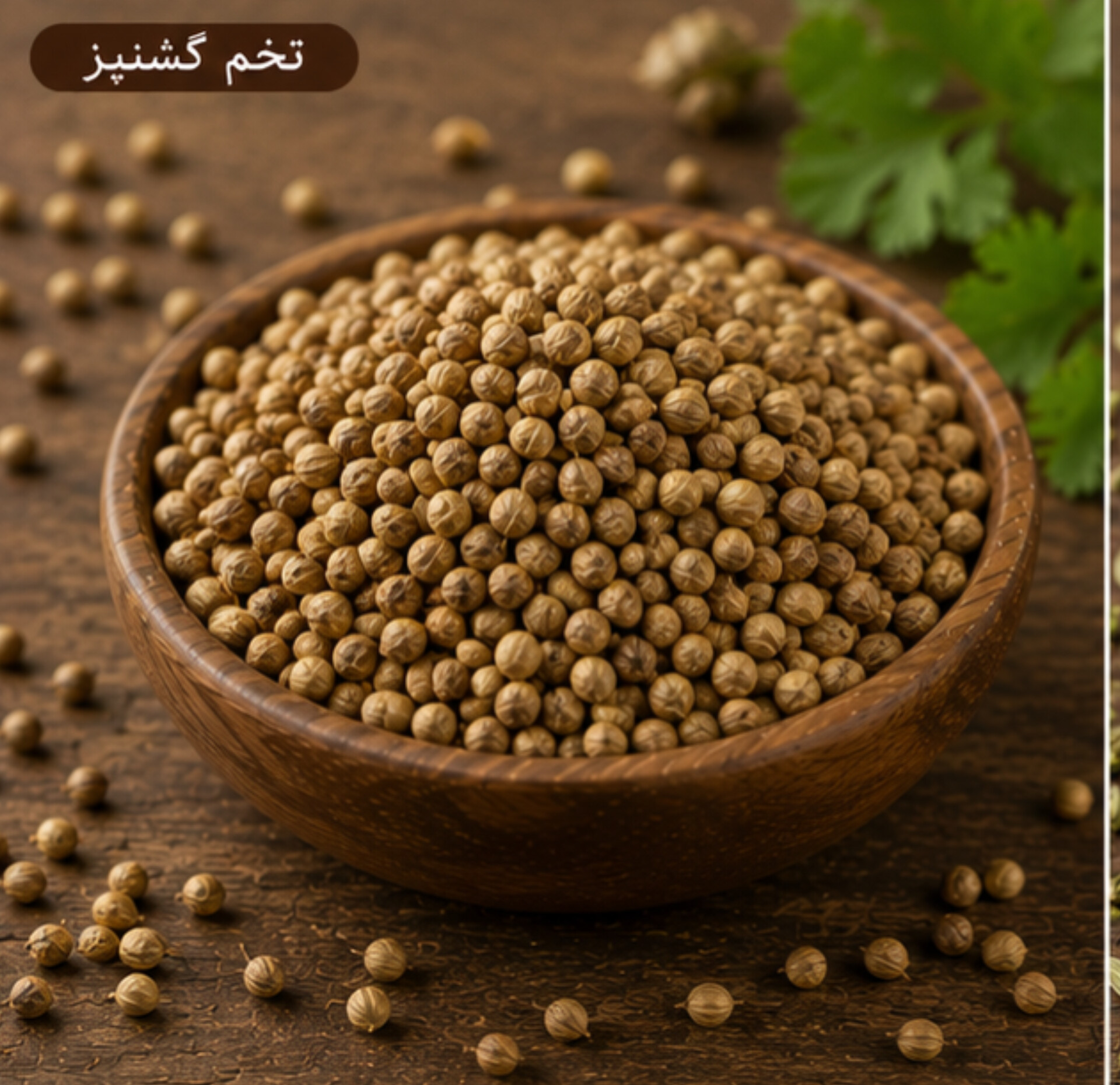 تخم گشنیز/100 گرمی