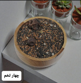 چهارتخمه/100 گرمی