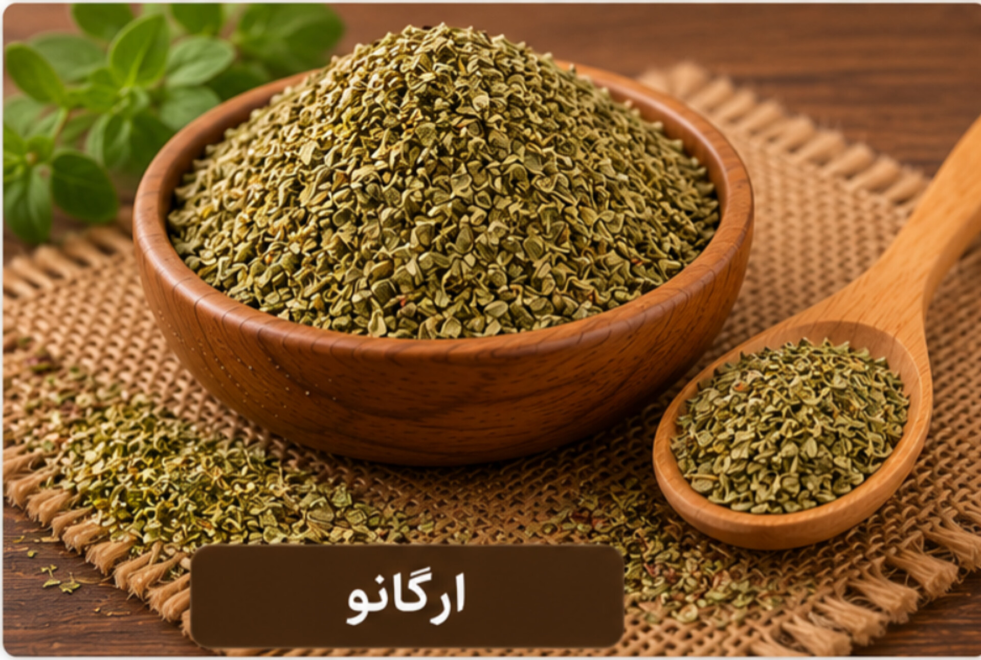ارگانو/100 گرمی
